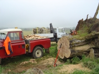  That was the Logrover full (later weighed at 680kg of logs) from just two rounds of that trunk. Still a few rounds left to go for another day.